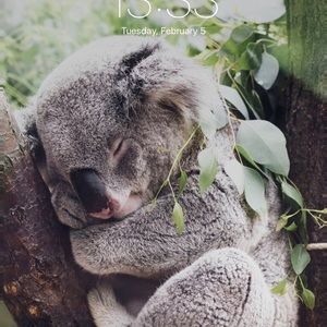 Meet your Posher, Alaina